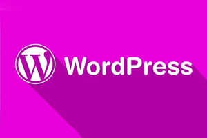 WordPress安装或启用插件提示输入FTP连接信息